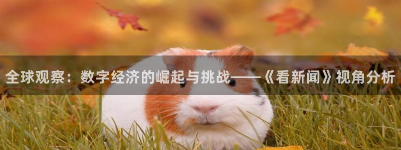 全球观察：数字经济的崛起与挑战——《看新闻》视角分析