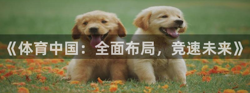 《体育中国：全面布局，竞速未来》