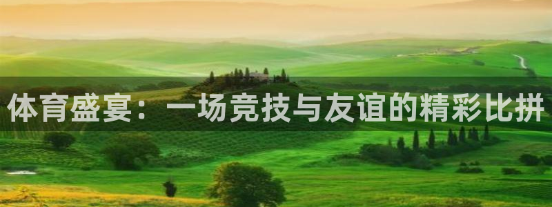 体育盛宴：一场竞技与友谊的精彩比拼
