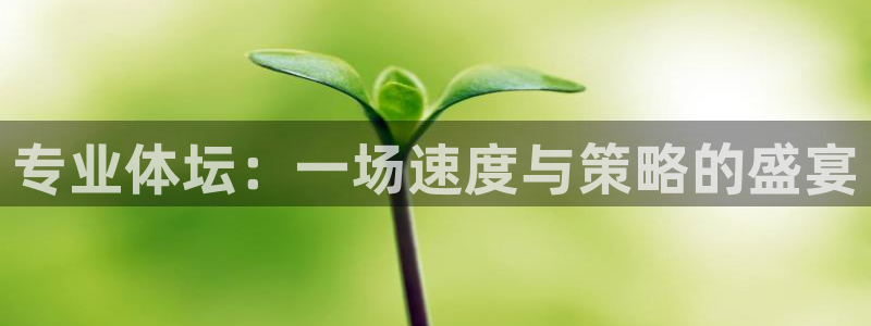 专业体坛：一场速度与策略的盛宴