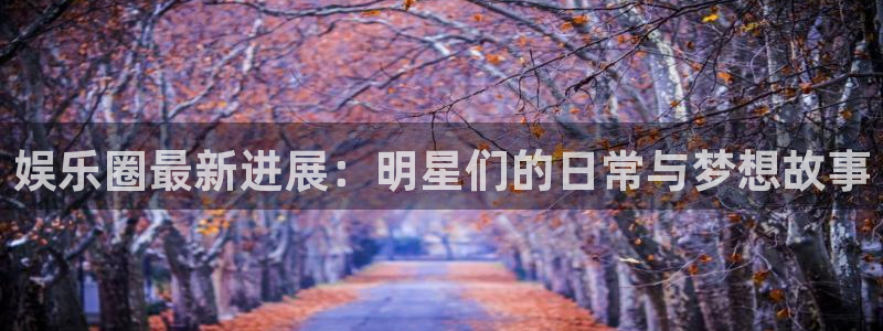 娱乐圈最新进展：明星们的日常与梦想故事