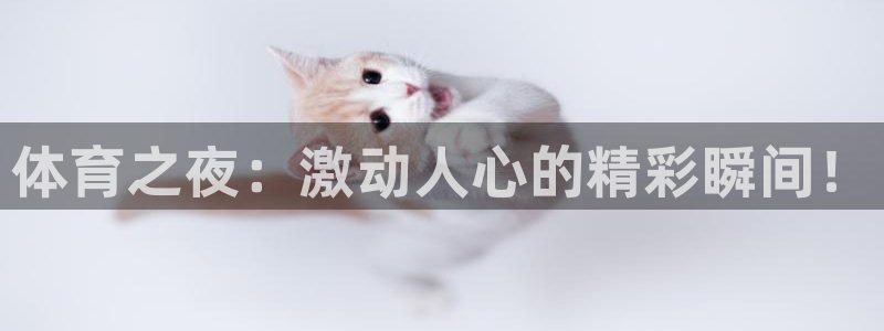 体育之夜：激动人心的精彩瞬间！