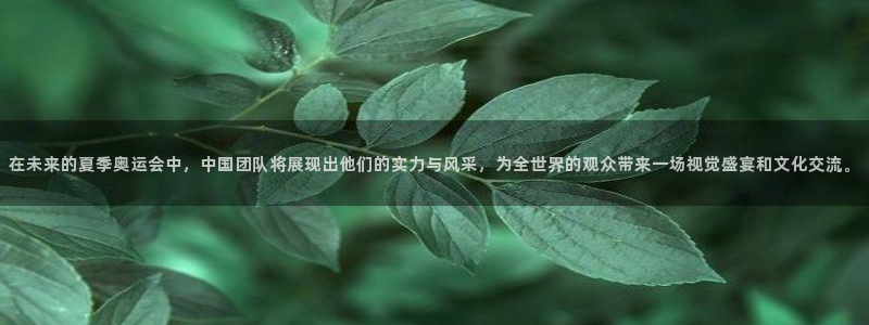 在未来的夏季奥运会中，中国团队将展现出他们的实力与风采，为全世界的观众带来一场视觉盛宴和文化交流。