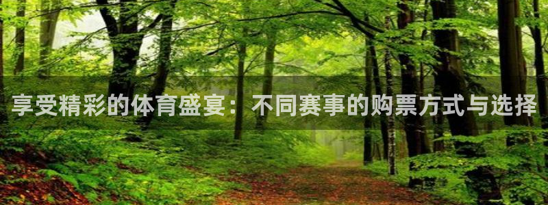 享受精彩的体育盛宴：不同赛事的购票方式与选择