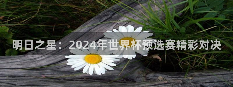明日之星：2024年世界杯预选赛精彩对决